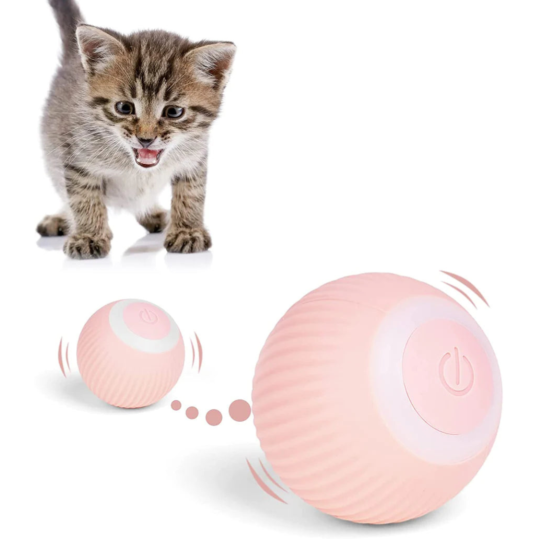 CattyRoll™ │ Intelligenter Katzenball