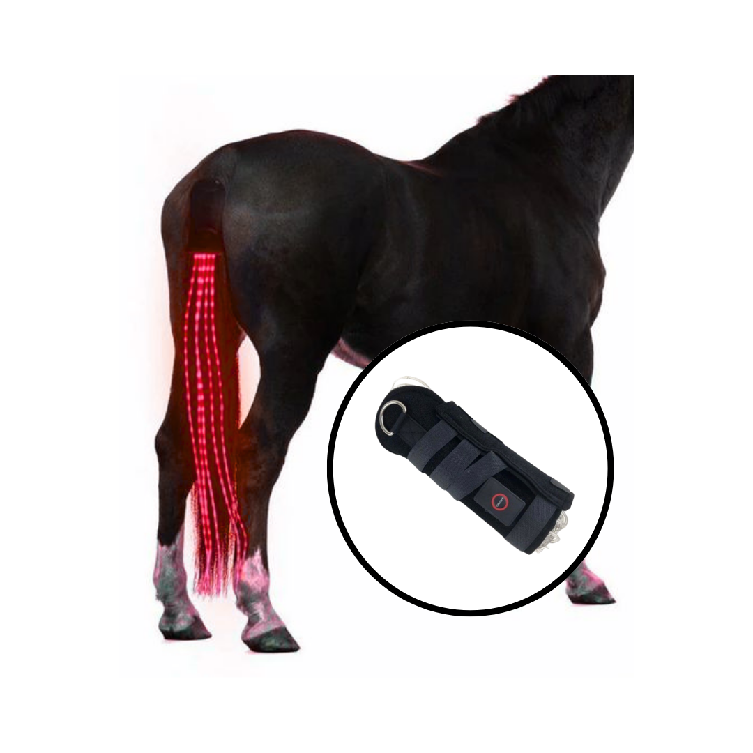 Tail Lighting LED Horse Red