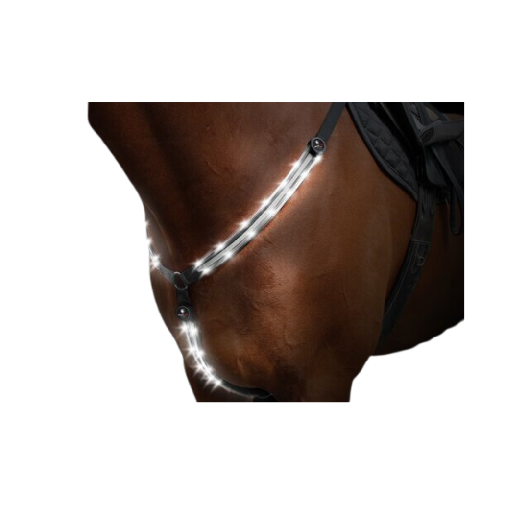 Harness LED for Horses White
