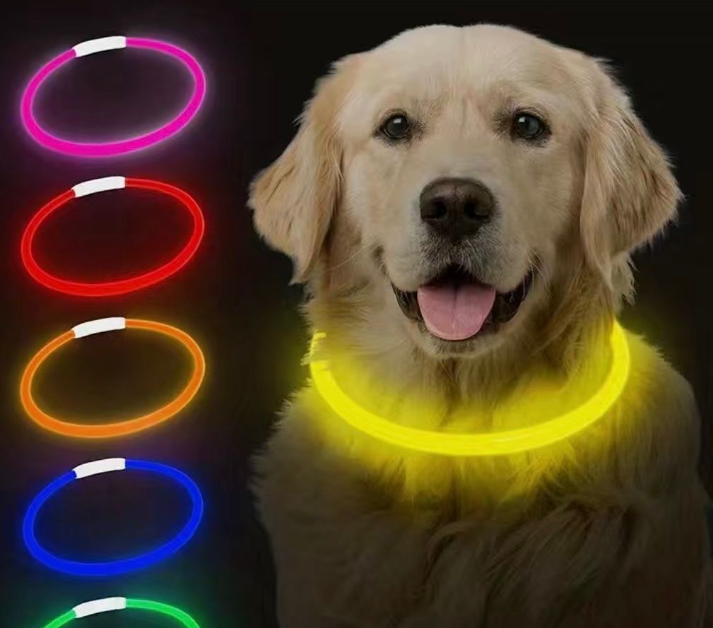 Hundehalsband LED