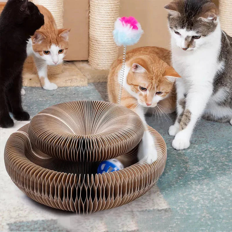Cat scratching carousel