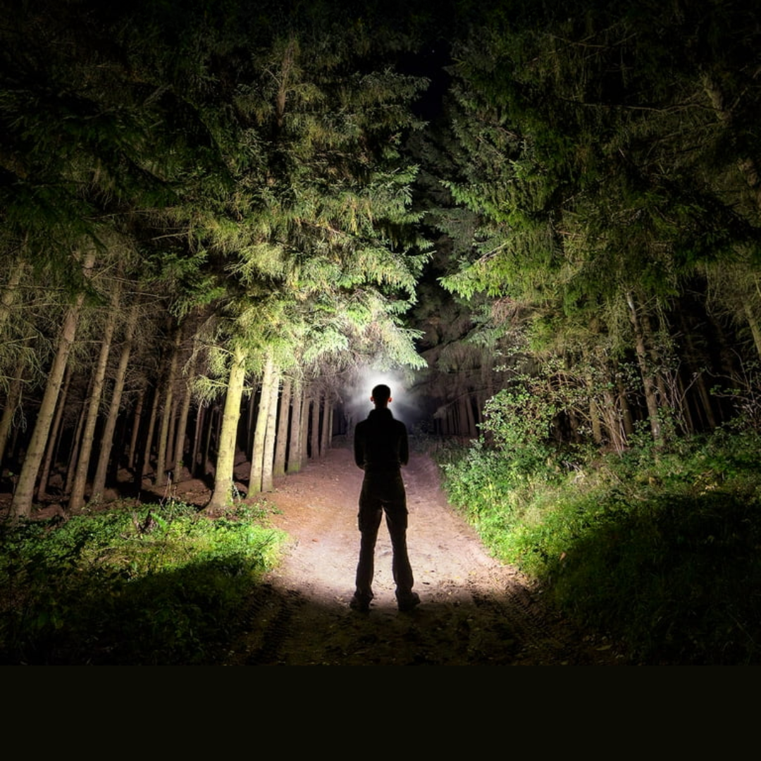 230° Stirnlampe MOTIONLIGHT™ – das Original!