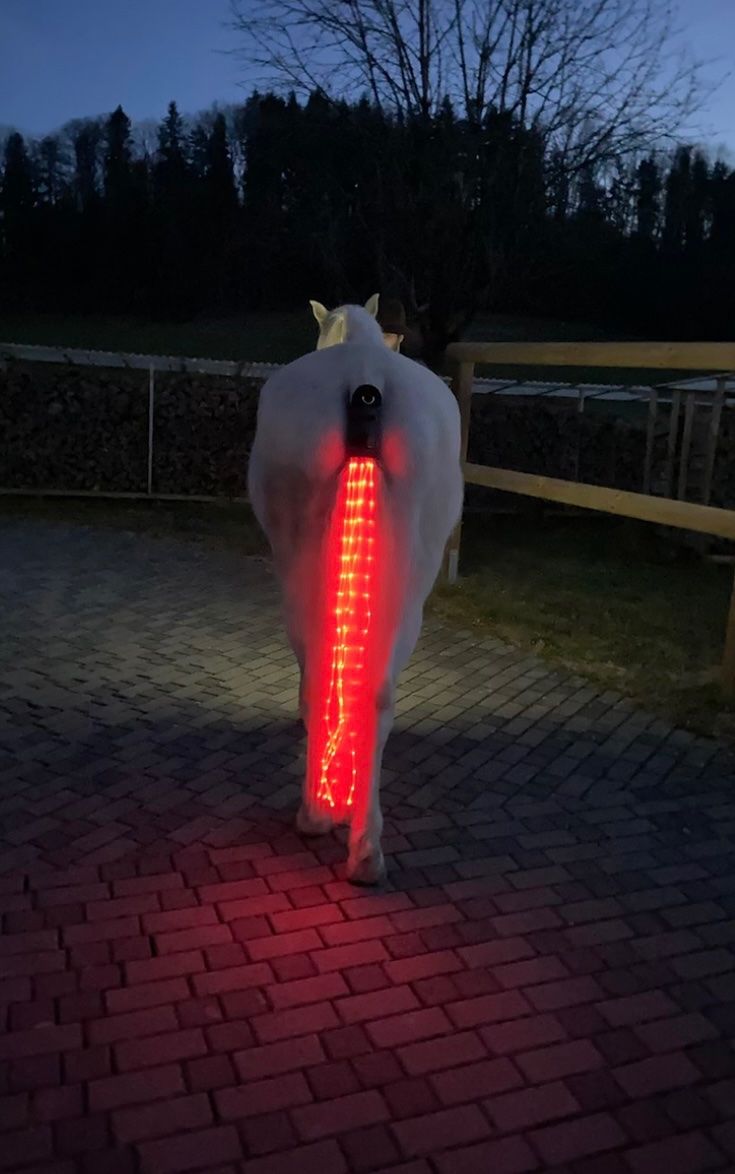 Tail Lighting LED Horse Red