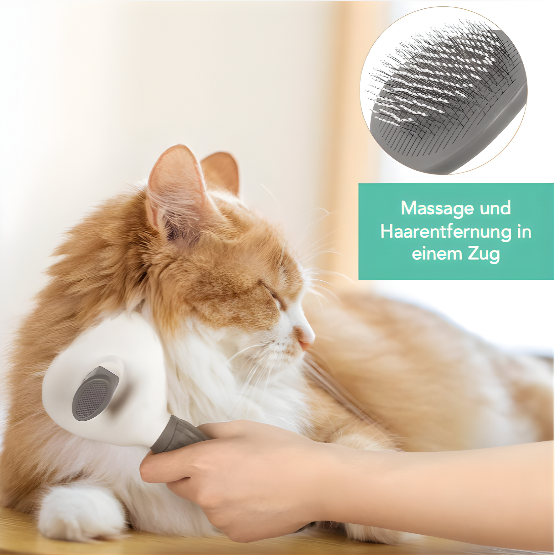 Selbstreinigende Tierhaarbürste Paw's Friend™