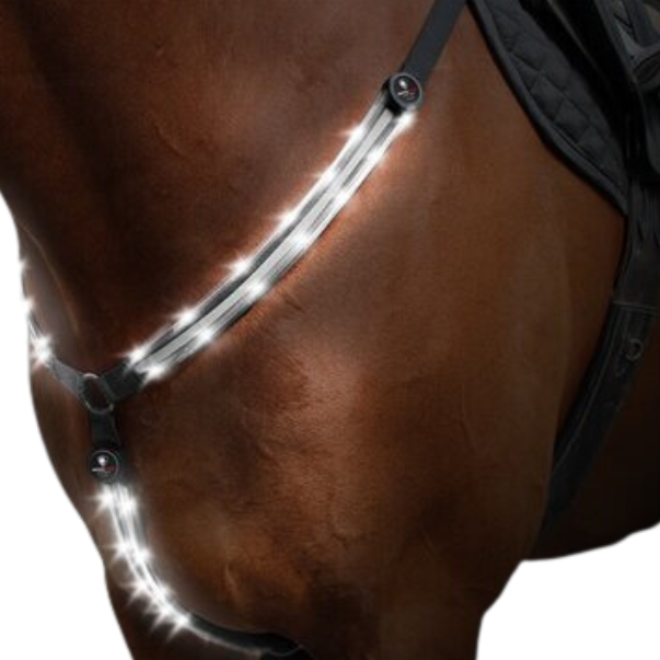 Pettorale LED per cavalli bianco